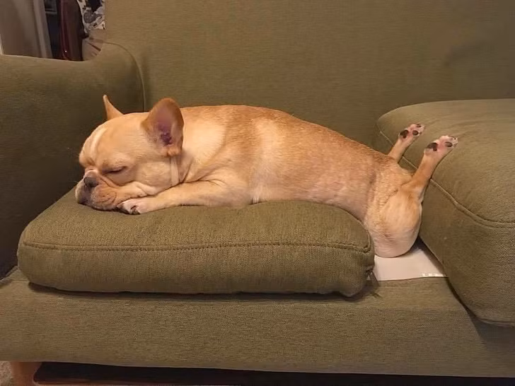 Nguồn: Bright Side