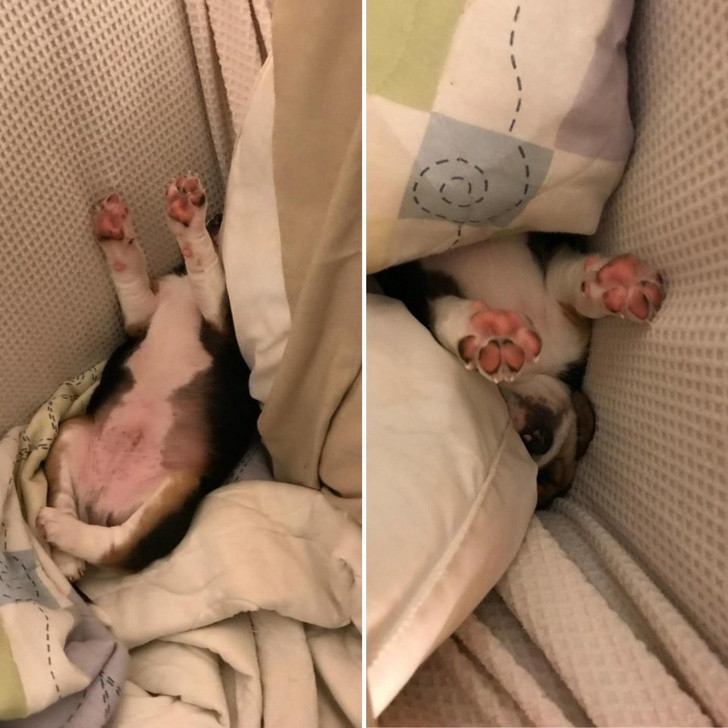 Nguồn: Bright Side