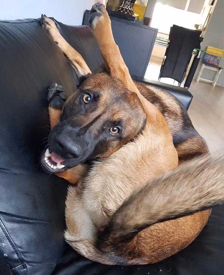 Nguồn: Bright Side