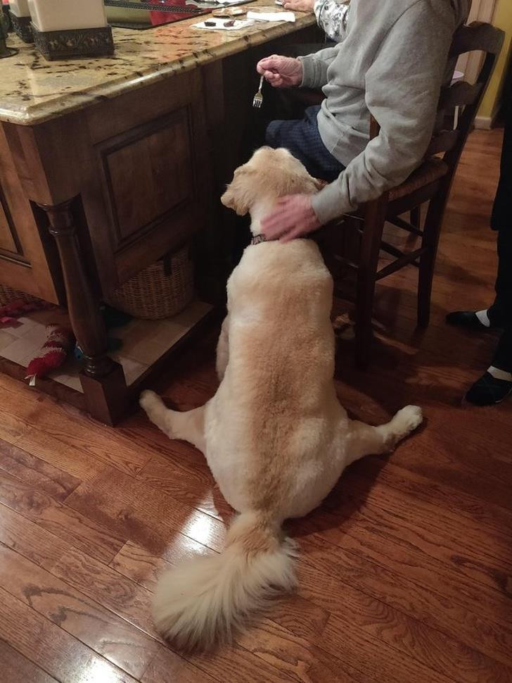 Nguồn: Bright Side