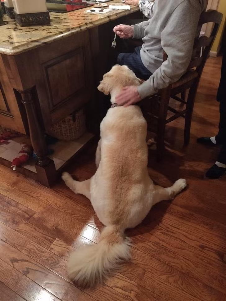 Nguồn: Bright Side