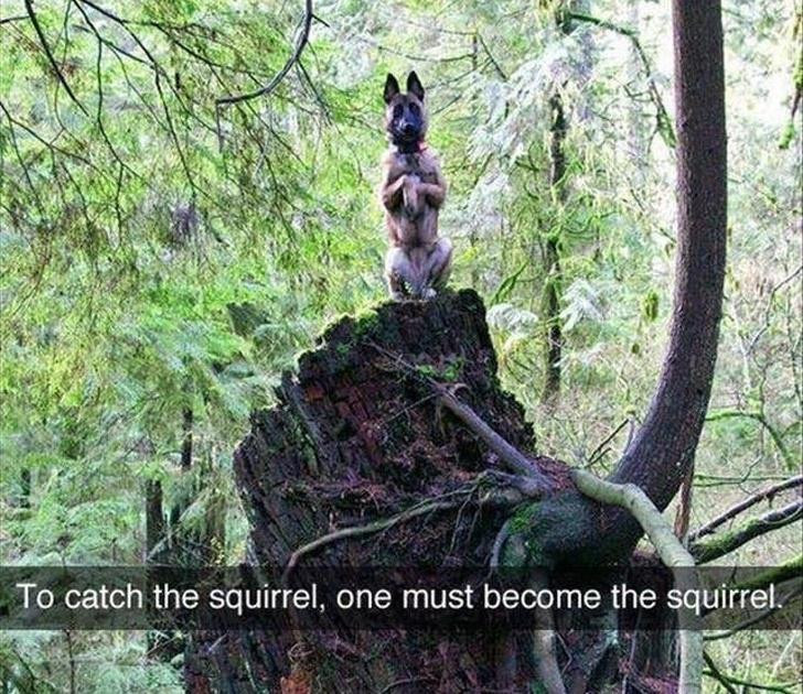 Nguồn: Bright Side