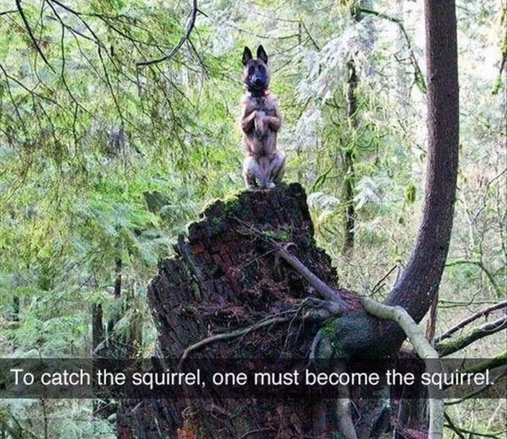 Nguồn: Bright Side