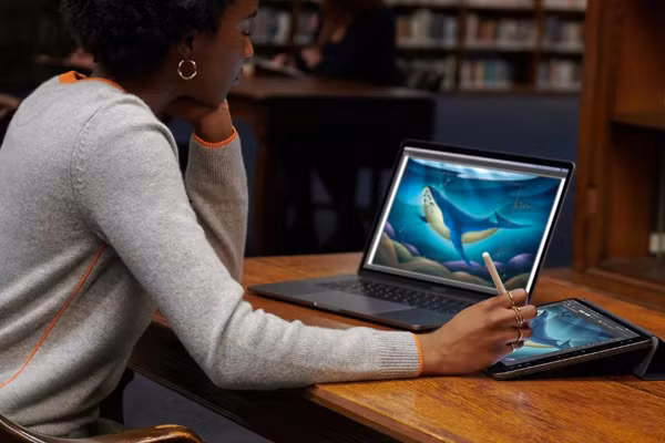 Với iPadOS, những chiếc iPad cũng có thể kết hợp với bút Pencil và máy tính Mac để trở thành một bàn vẽ. Đây là tính năng mà chắc chắn các chuyên viên xử lý đồ họa hay các nhà thiết kế sẽ thường xuyên sử dụng. 