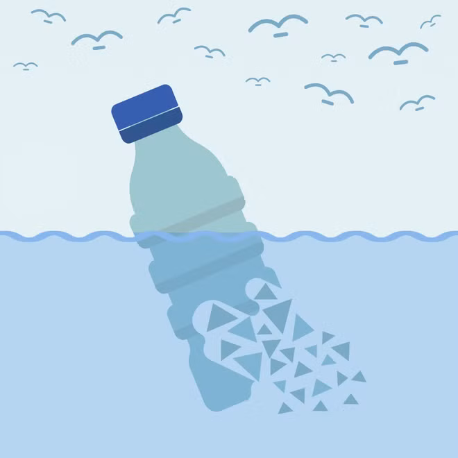 Chỉ riêng trong năm 2010, có tới 12 triệu tấn nhựa đã được đổ vào lòng các đại dương thế giới