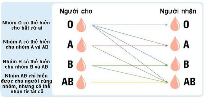 Sự tương hợp của các nhóm máu hiện tại, nhưng nó có thể được xóa bỏ trong tương lai gần