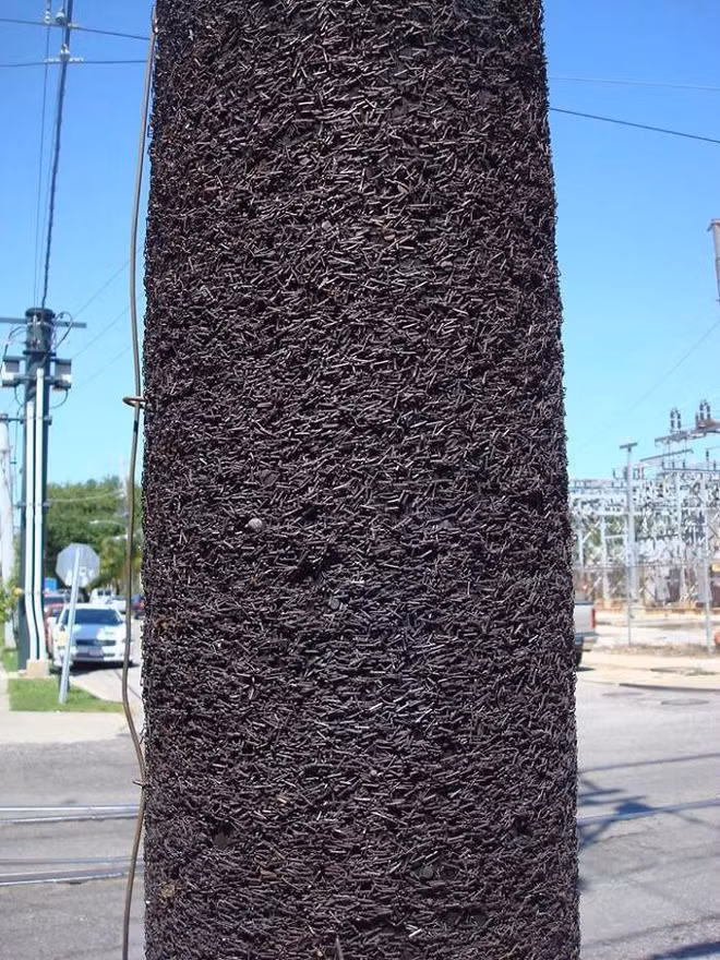 21 bức ảnh chứng minh thời gian là thứ đẹp đẽ nhưng vô cùng tàn nhẫn - Ảnh 21.