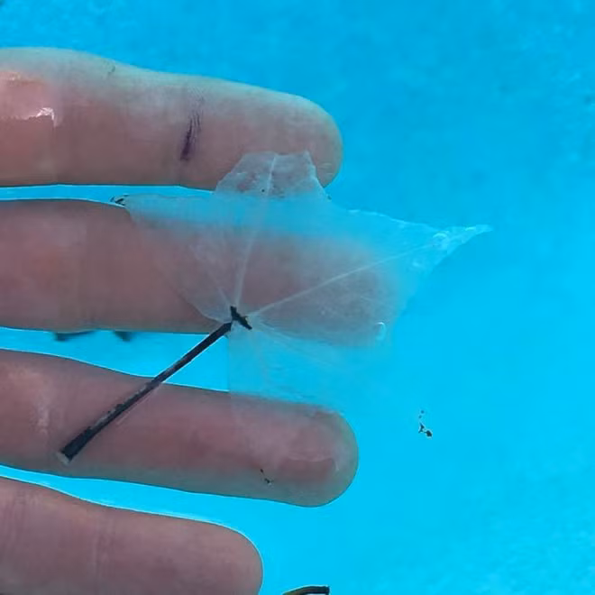 21 bức ảnh chứng minh thời gian là thứ đẹp đẽ nhưng vô cùng tàn nhẫn - Ảnh 8.