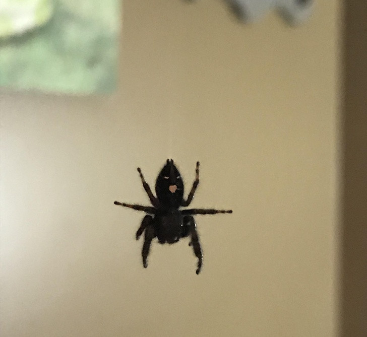 Nguồn: Bright Side Nguồn: Bright Side