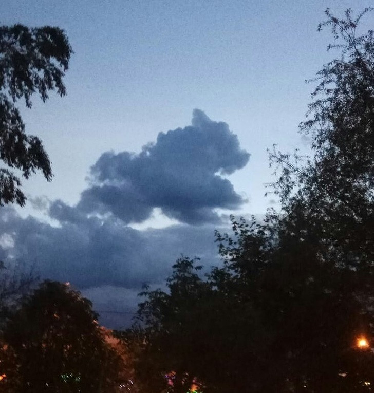 Nguồn: Bright Side Nguồn: Bright Side