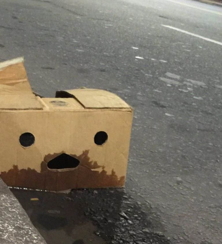 Nguồn: Bright Side Nguồn: Bright Side