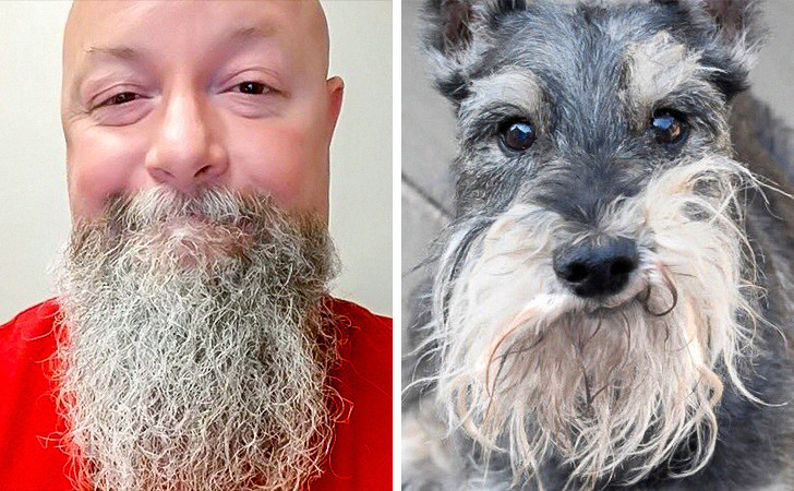 Nguồn: Bright Side