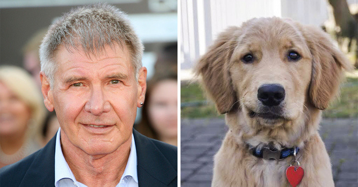 Nguồn: Bright Side