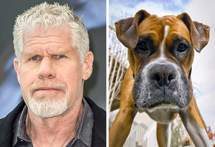 Nguồn: Bright Side