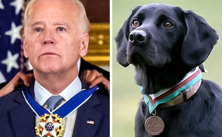 Nguồn: Bright Side