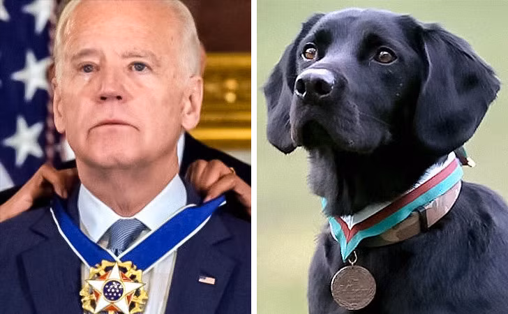 Nguồn: Bright Side