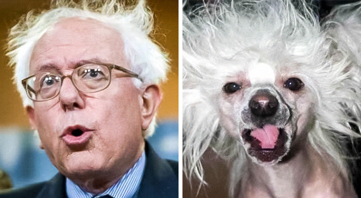 Nguồn: Bright Side