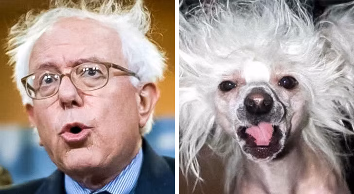 Nguồn: Bright Side