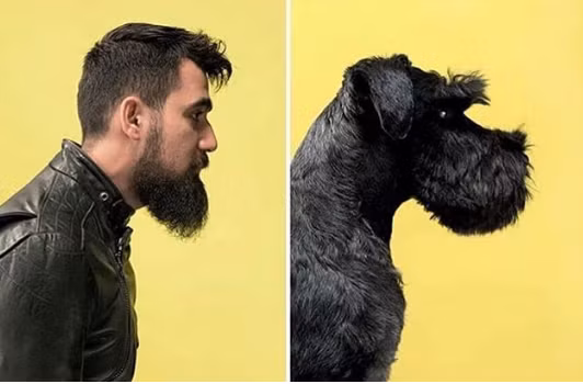 Nguồn: Bright Side