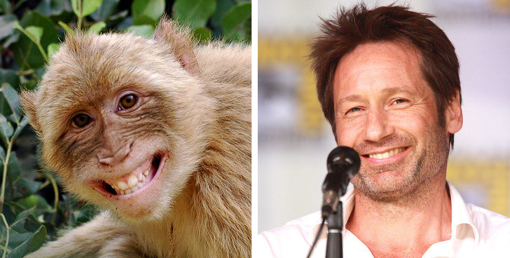 Nguồn: Bright Side