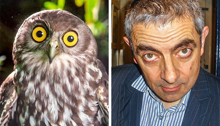 Nguồn: Bright Side