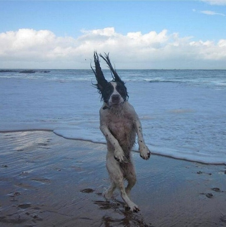 Nguồn: Bright Side Nguồn: Bright Side