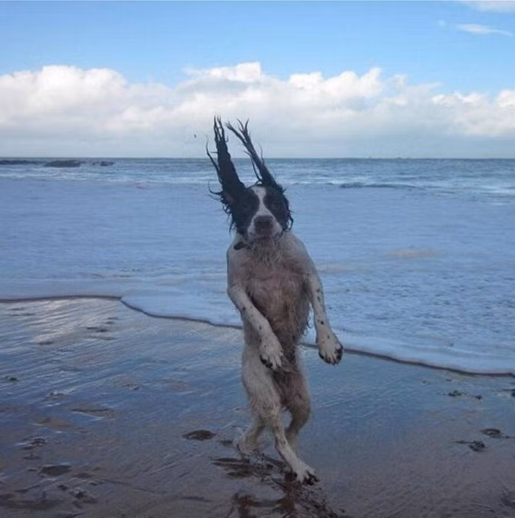 Nguồn: Bright Side