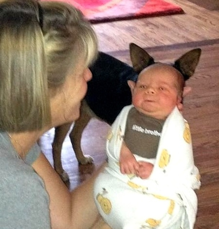 Nguồn: Bright Side Nguồn: Bright Side