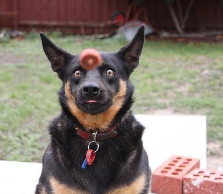 Nguồn: Bright Side Nguồn: Bright Side