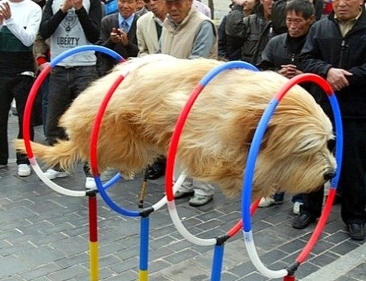 Nguồn: Bright Side Nguồn: Bright Side