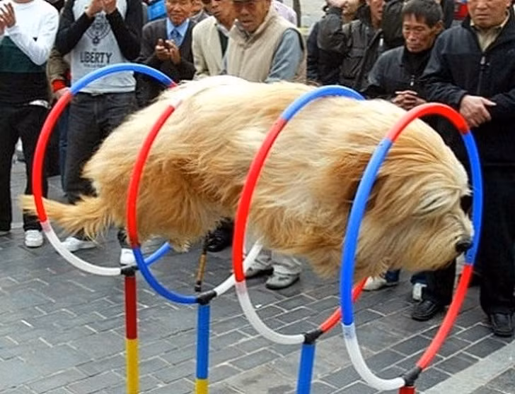 Nguồn: Bright Side