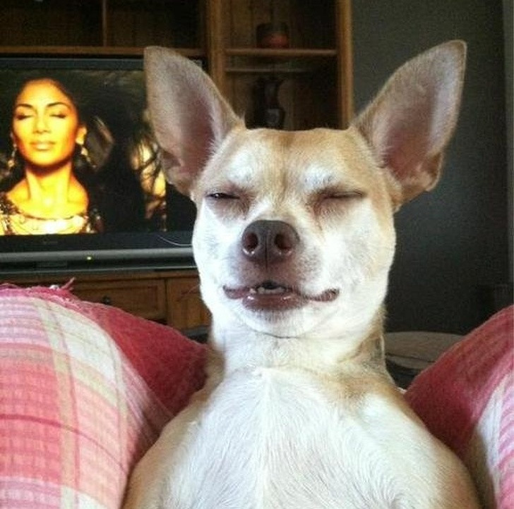 Nguồn: Bright Side Nguồn: Bright Side