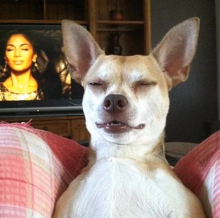 Nguồn: Bright Side