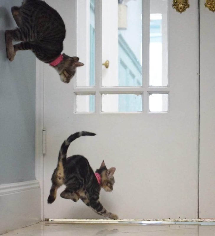 Nguồn: Bright Side Nguồn: Bright Side