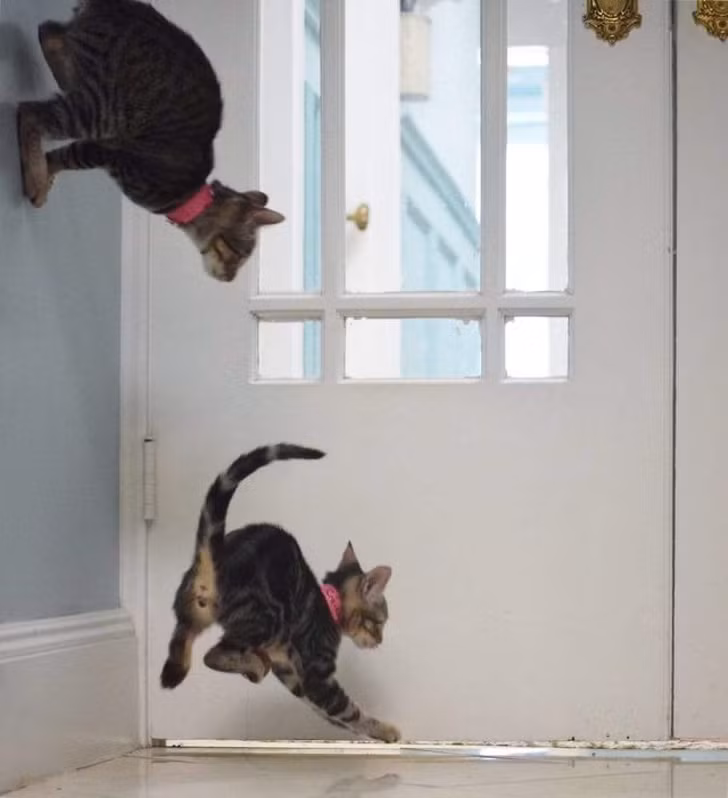 Nguồn: Bright Side