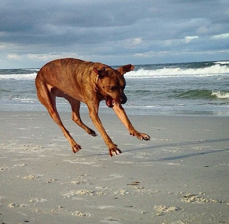 Nguồn: Bright Side Nguồn: Bright Side