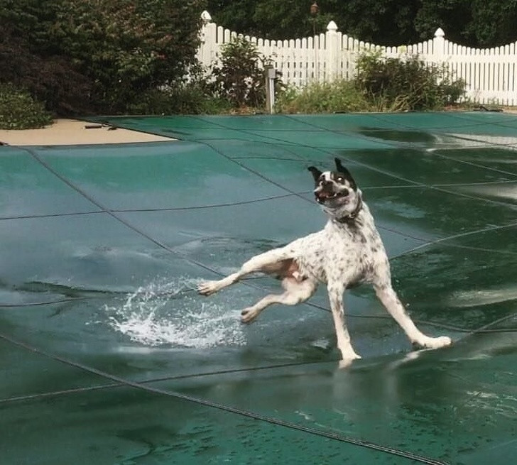 Nguồn: Bright Side Nguồn: Bright Side