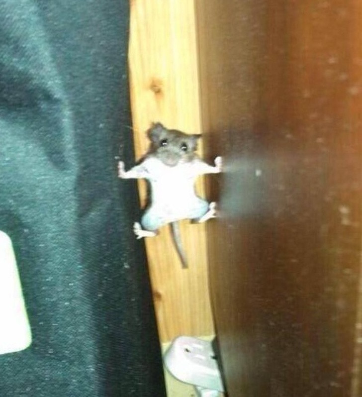 Nguồn: Bright Side Nguồn: Bright Side