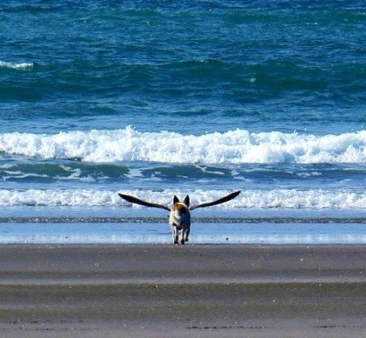 Nguồn: Bright Side Nguồn: Bright Side