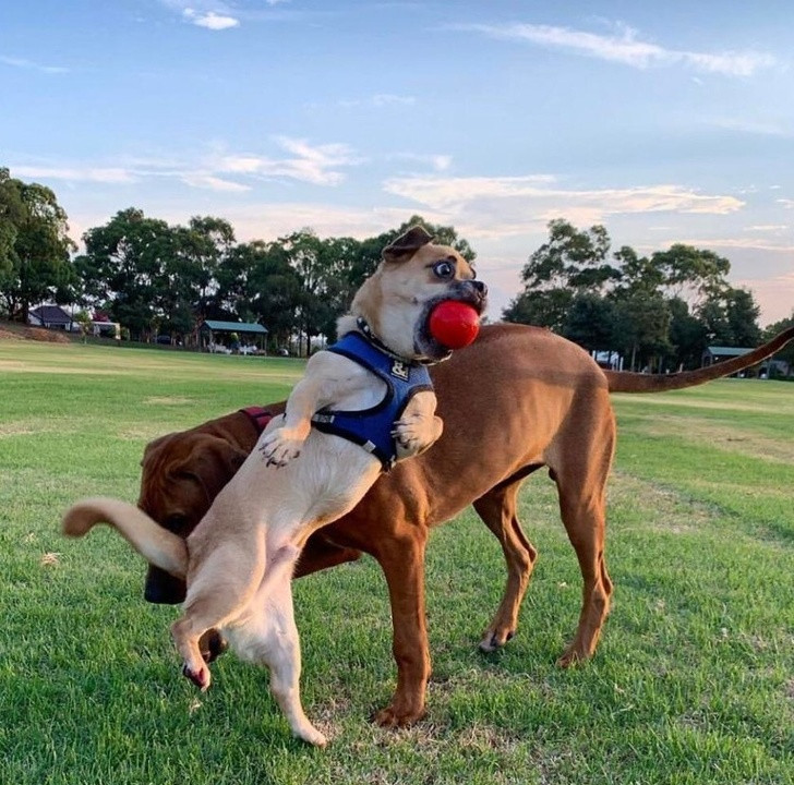 Nguồn: Bright Side Nguồn: Bright Side