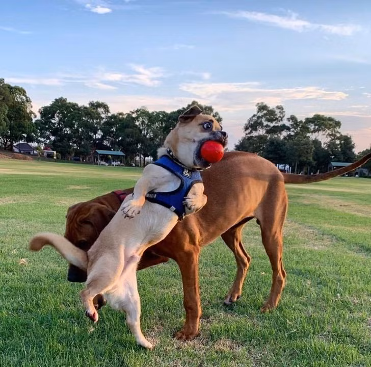 Nguồn: Bright Side