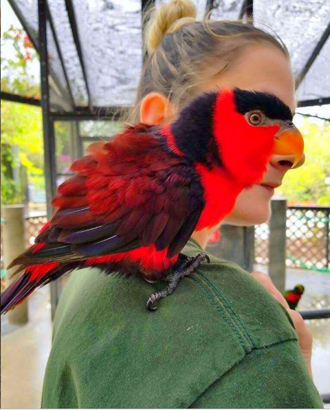 Nguồn: Bright Side Nguồn: Bright Side