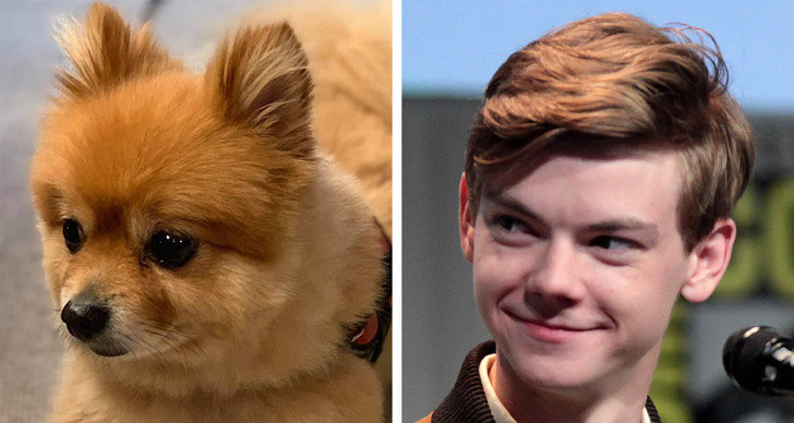 Nguồn: Bright Side