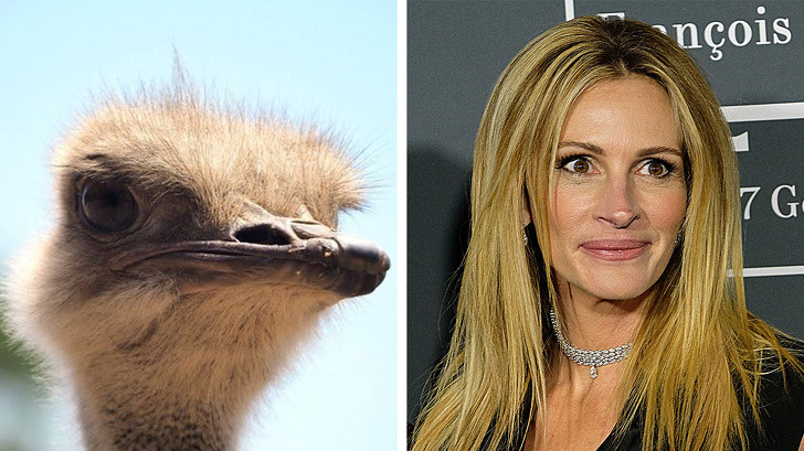 Nguồn: Bright Side