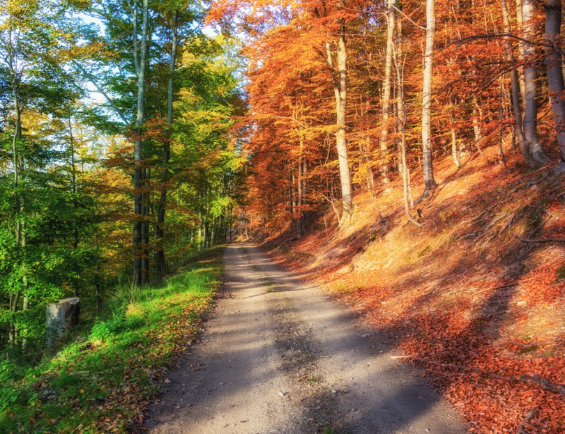 Nguồn: Bright Side