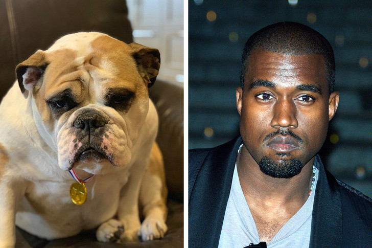 Nguồn: Bright Side