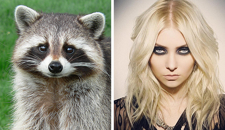 Nguồn: Bright Side