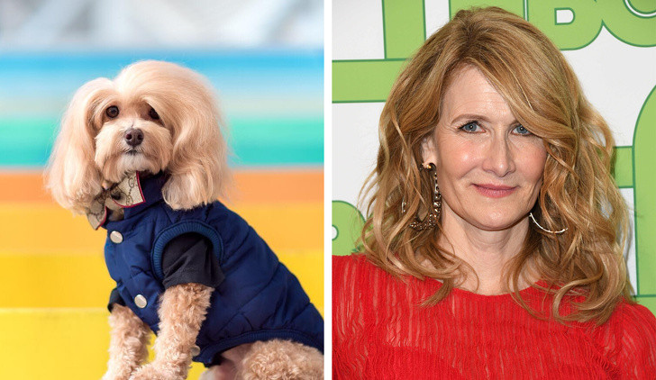 Nguồn: Bright Side