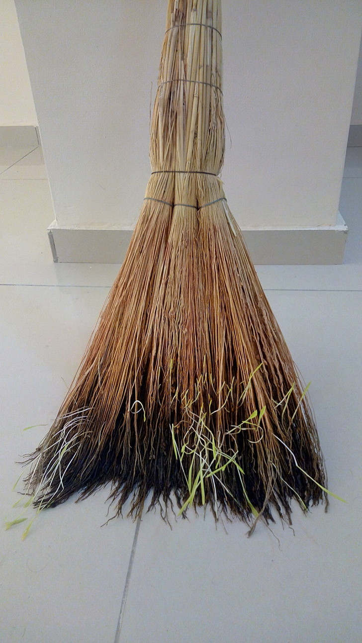 13 hình ảnh tốt hơn bất kỳ thuốc chống trầm cảm nào ảnh 5