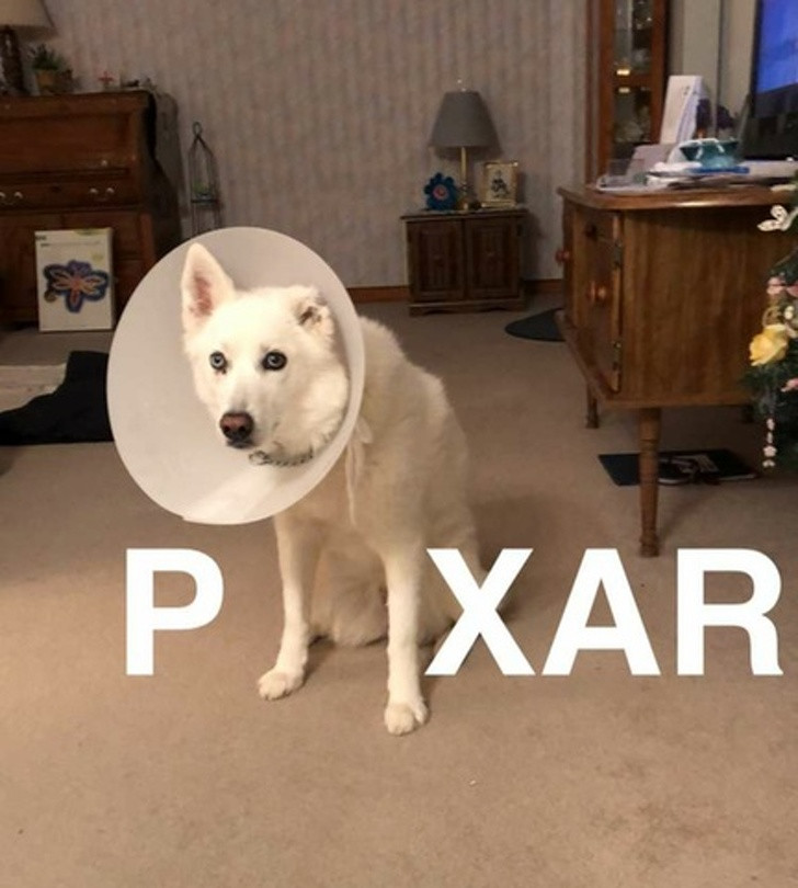 13 hình ảnh tốt hơn bất kỳ thuốc chống trầm cảm nào ảnh 9